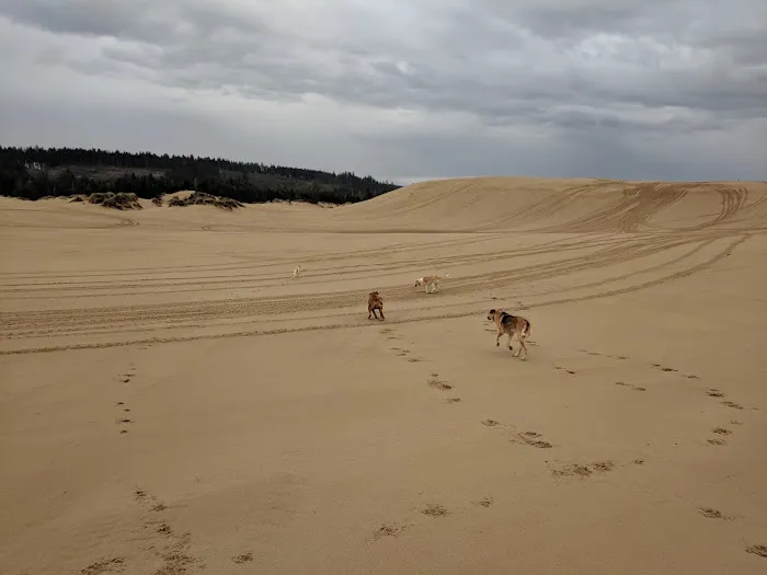 Hauser Sand Camping Access Picture 8