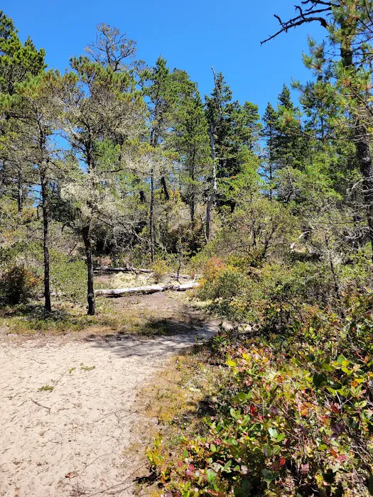 Bluebill Trailhead Picture 4