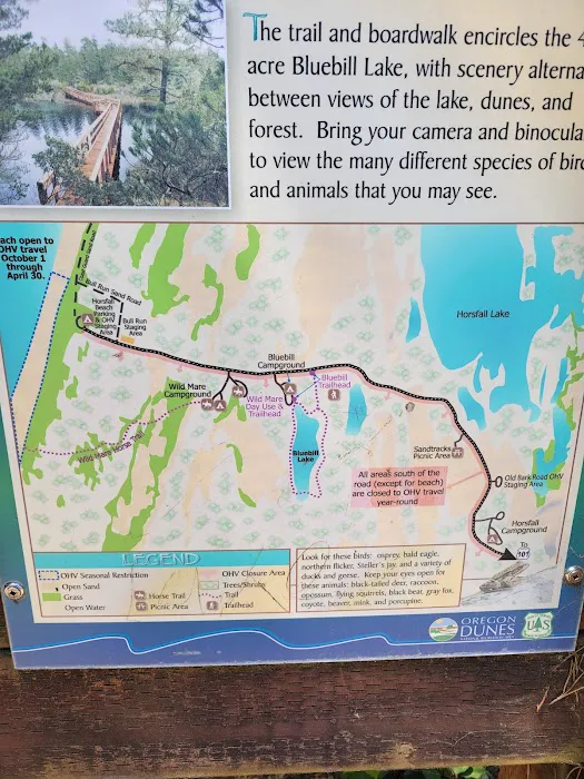 Bluebill Trailhead Picture 1