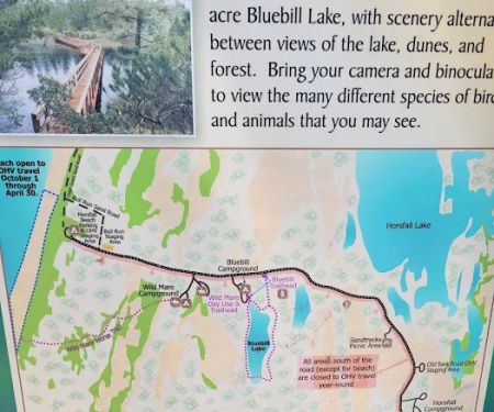 Bluebill Trailhead