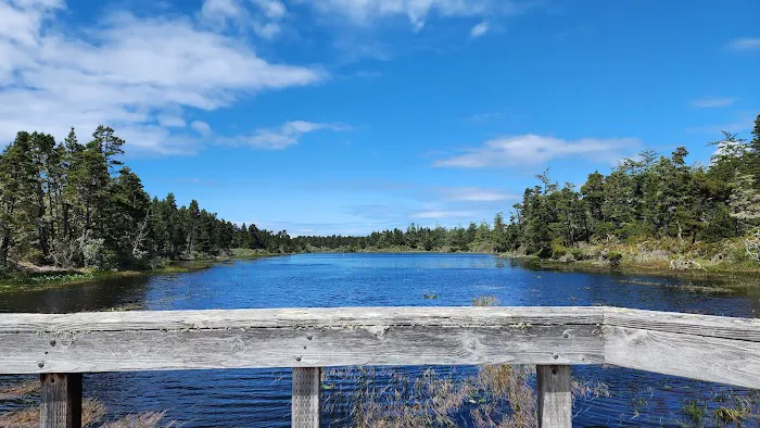 Bluebill Trailhead Picture 5