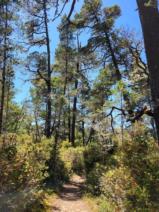 Bluebill Trailhead Picture 10