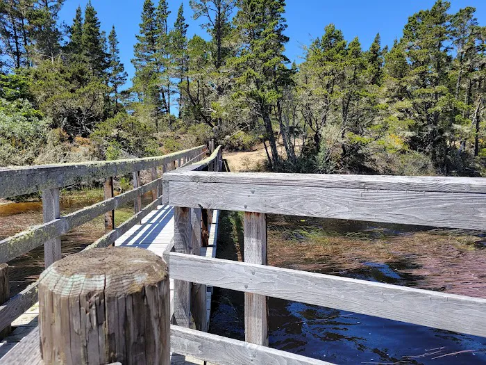 Bluebill Trailhead Picture 8