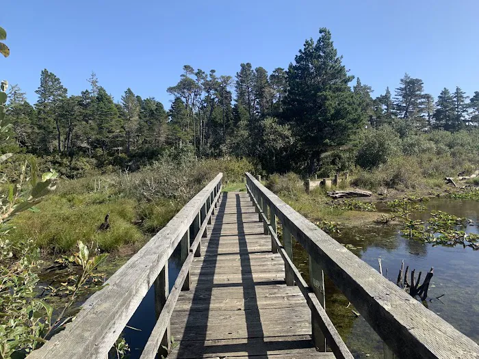 Bluebill Campground Picture 3