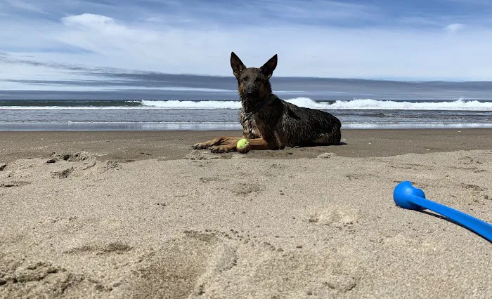 Bluebill Campground Picture 2