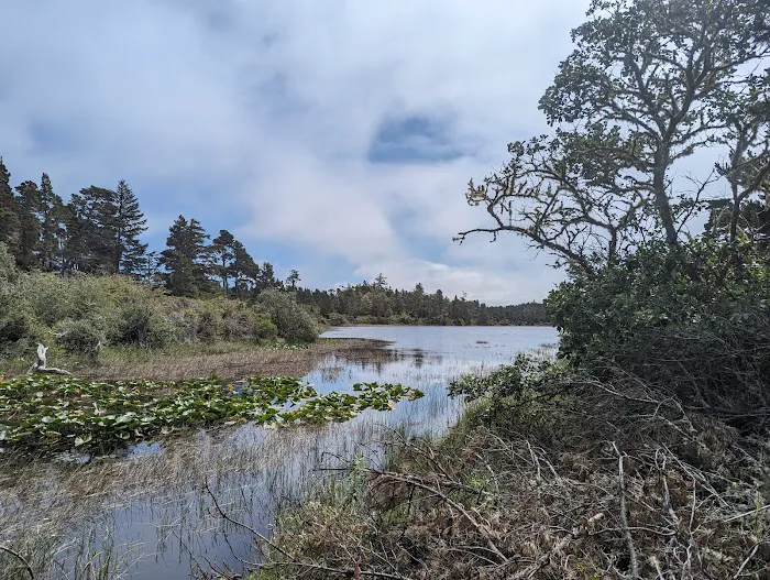 Bluebill Campground Picture 4