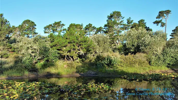 Bluebill Campground Picture 7