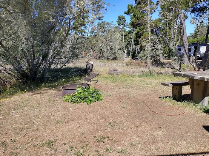 Bluebill Campground Picture 9