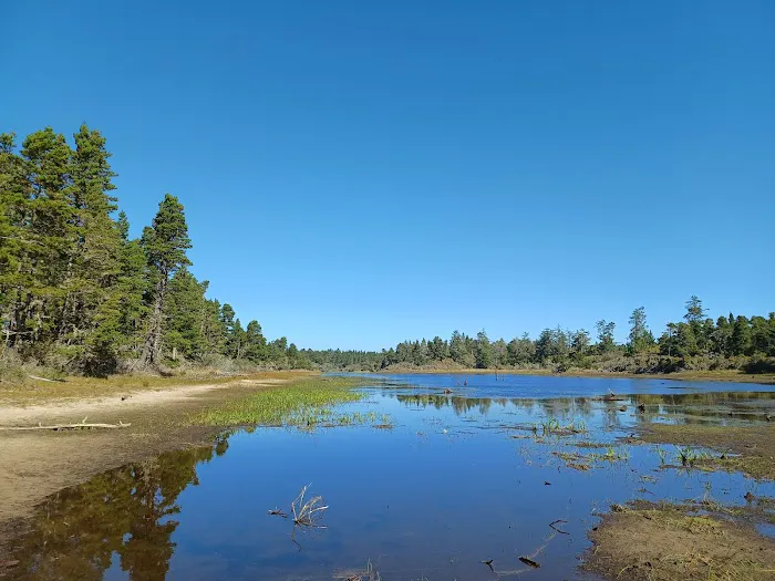 Bluebill Campground Picture 1