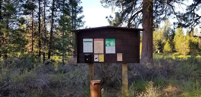 Big River Campground Picture 10