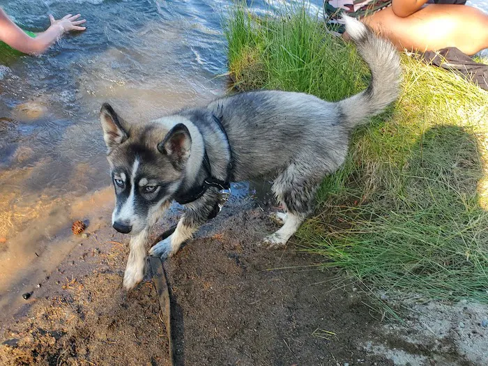 Big River Campground Picture 8