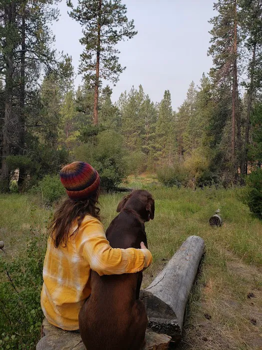 Big River Campground Picture 9