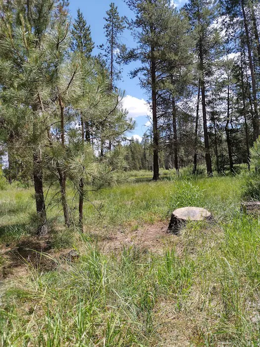 Big River Campground Picture 1