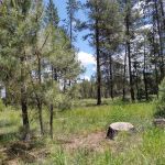 Big River Campground