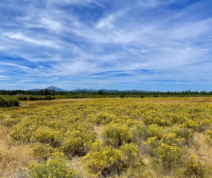 Thousand Trails Bend-Sunriver Picture 4