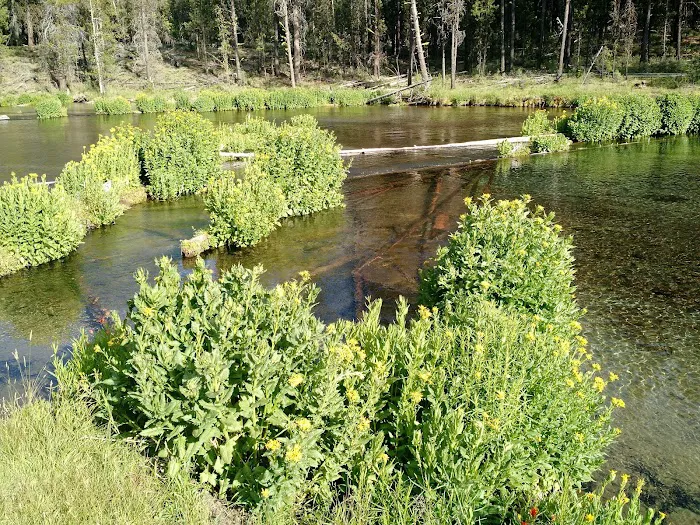 Fall River Campground Picture 10