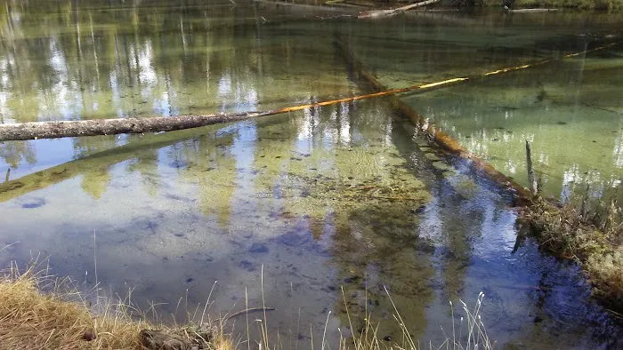 Fall River Campground Picture 5