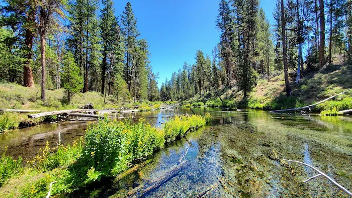 Fall River Campground Picture 6