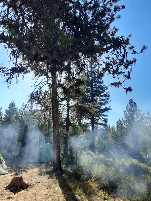 Fall River Campground Picture 2