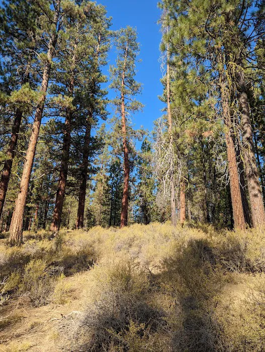 Fall River Campground Picture 9