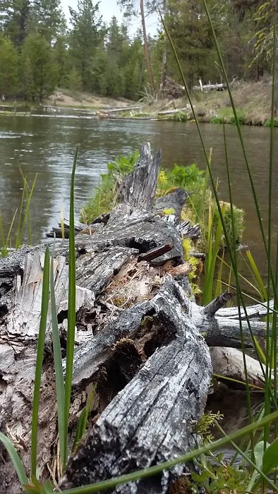 Fall River Campground Picture 7