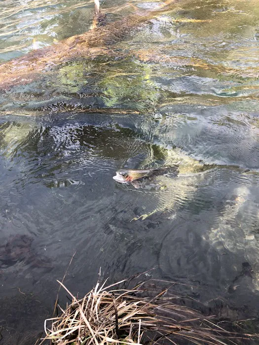 Fall River Campground Picture 3