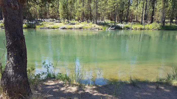 Bull Bend Campground Picture 7