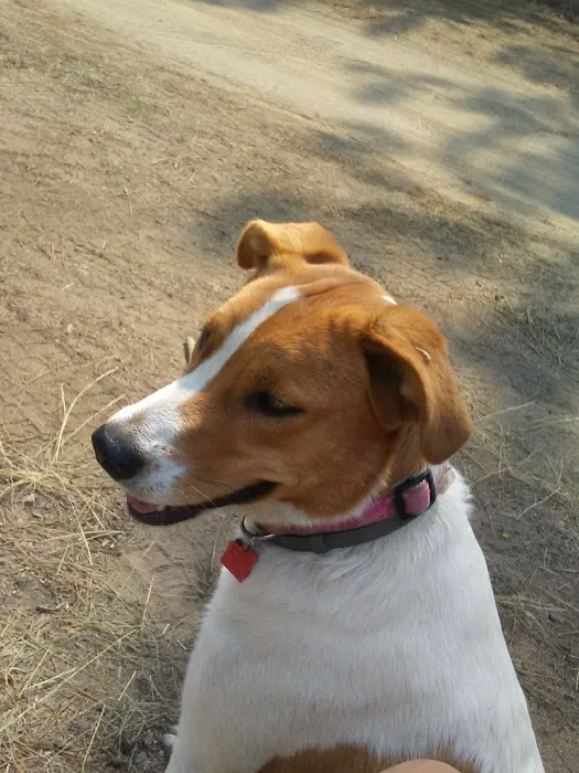 Bull Bend Campground Picture 9