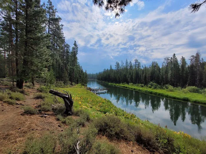 Bull Bend Campground Picture 1