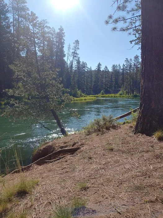 Bull Bend Campground Picture 5