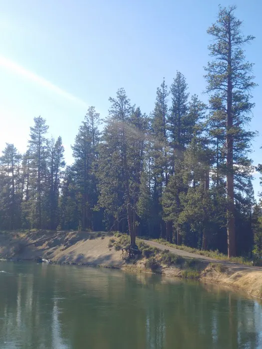 Bull Bend Campground Picture 2