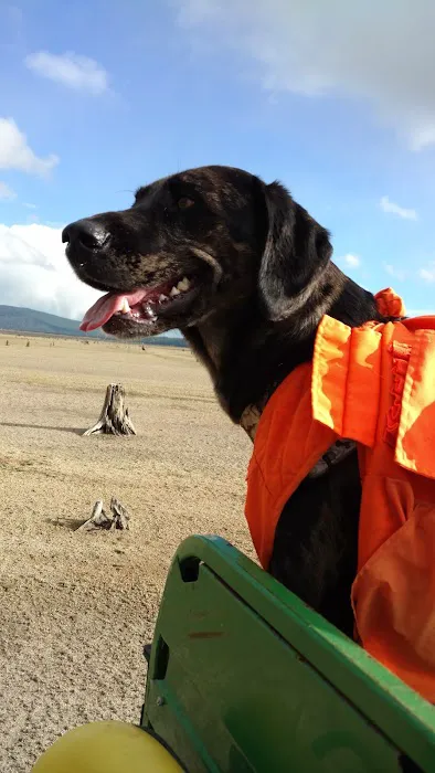 Reservoir Campground Picture 3