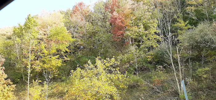 The Country Squire Mobile Home Community Picture 5