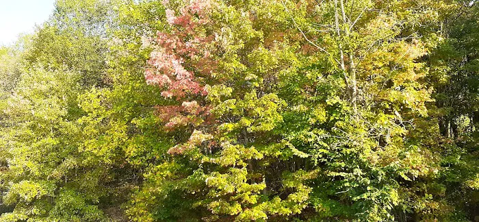 The Country Squire Mobile Home Community Picture 7