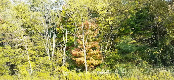 The Country Squire Mobile Home Community Picture 8