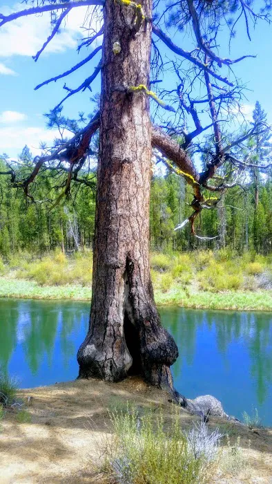 Wyeth Campground Picture 5