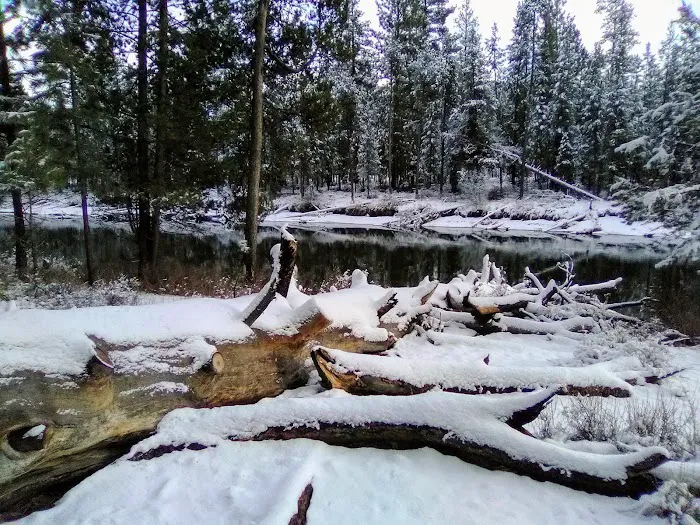 Wyeth Campground Picture 10