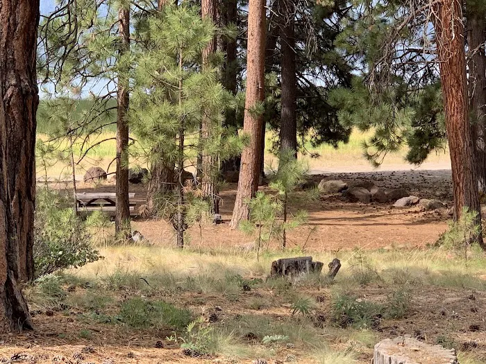 Lava Flow Campground Picture 6