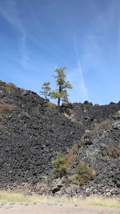 Lava Flow Campground Picture 8