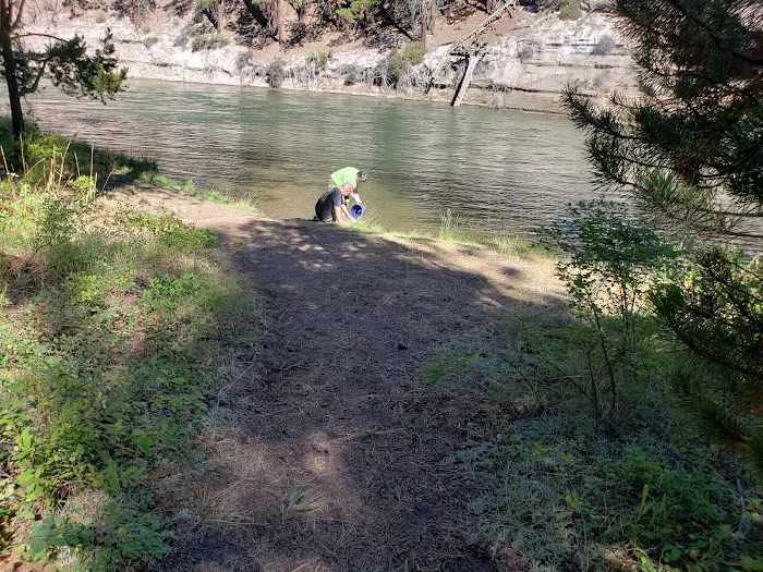 Pringle Falls Campground Picture 4