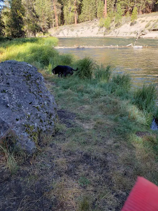 Pringle Falls Campground Picture 7