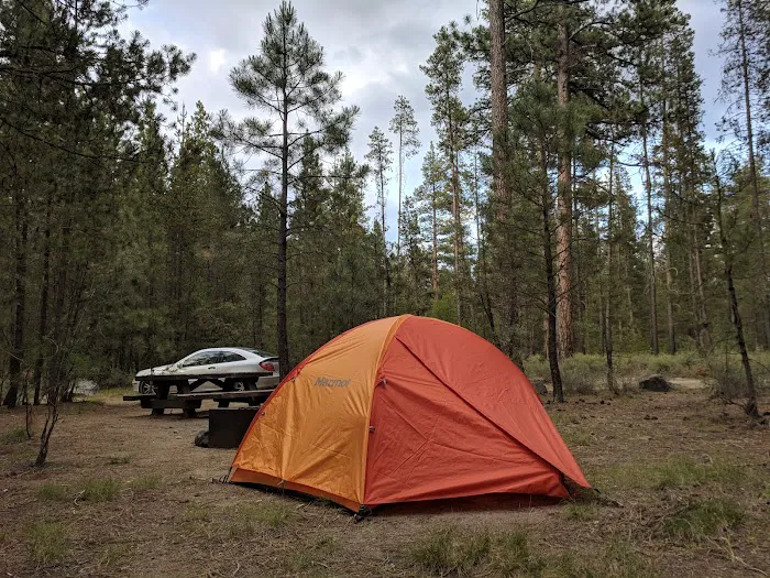 Pringle Falls Campground Picture 10