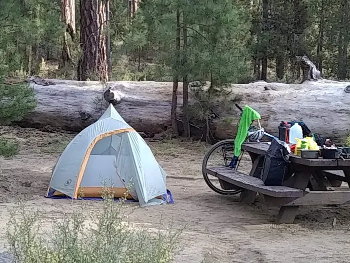 Pringle Falls Campground Picture 1