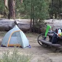 Pringle Falls Campground ico