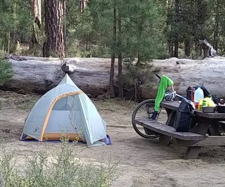 Pringle Falls Campground