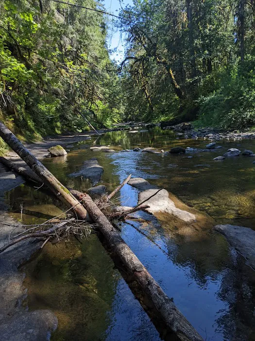 Sharps Creek Recreation Site Picture 6