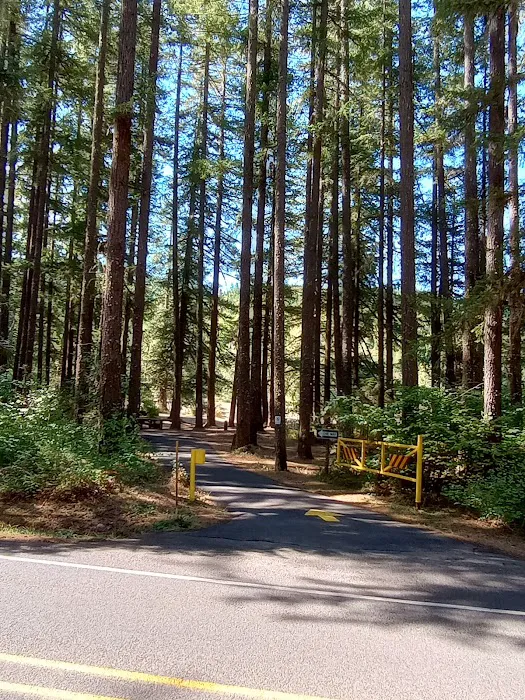 Sharps Creek Recreation Site Picture 5