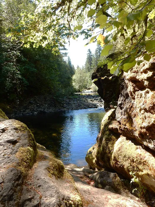 Sharps Creek Recreation Site Picture 9