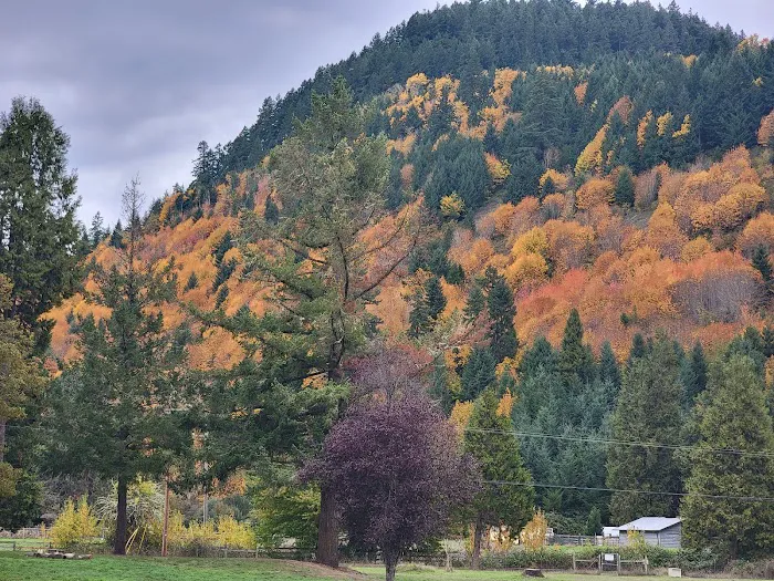 Sharps Creek Recreation Site Picture 1