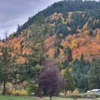 Sharps Creek Recreation Site ico